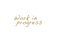 work_in_progress